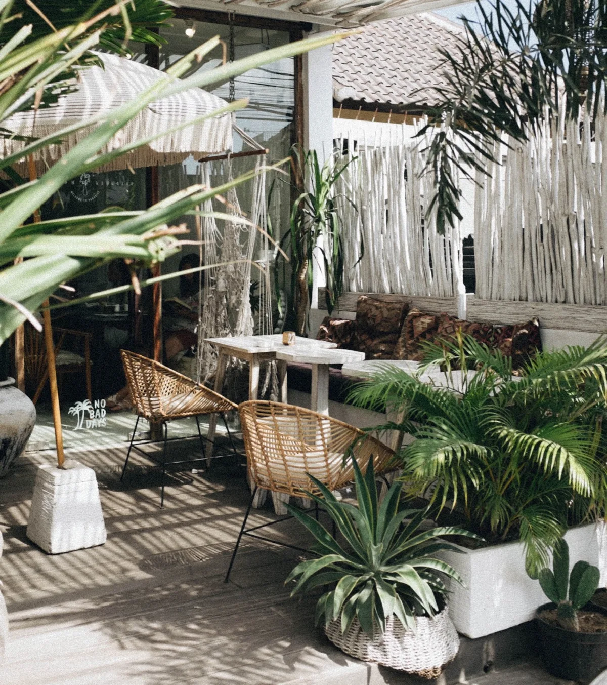 2022 patio plant trends for your home