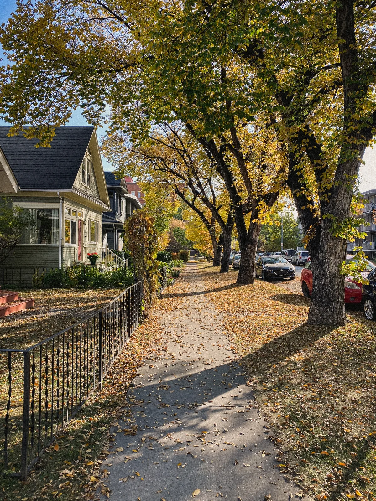 Furniture Hunt Navigating The Delivery Process On Facebook Marketplace And Kijiji In Calgary