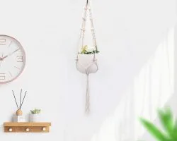 Amazon: $3.10 MOMFEI Macrame Plant Hanger