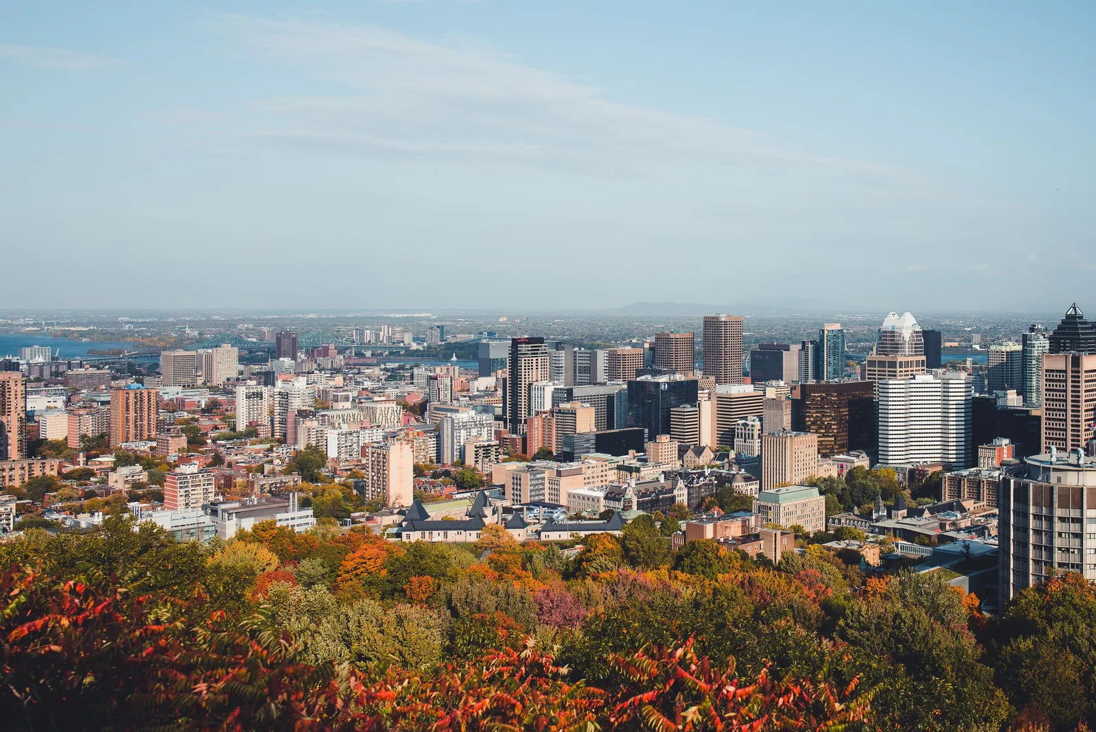 Moving in Montreal: Where To Find the Best Deals