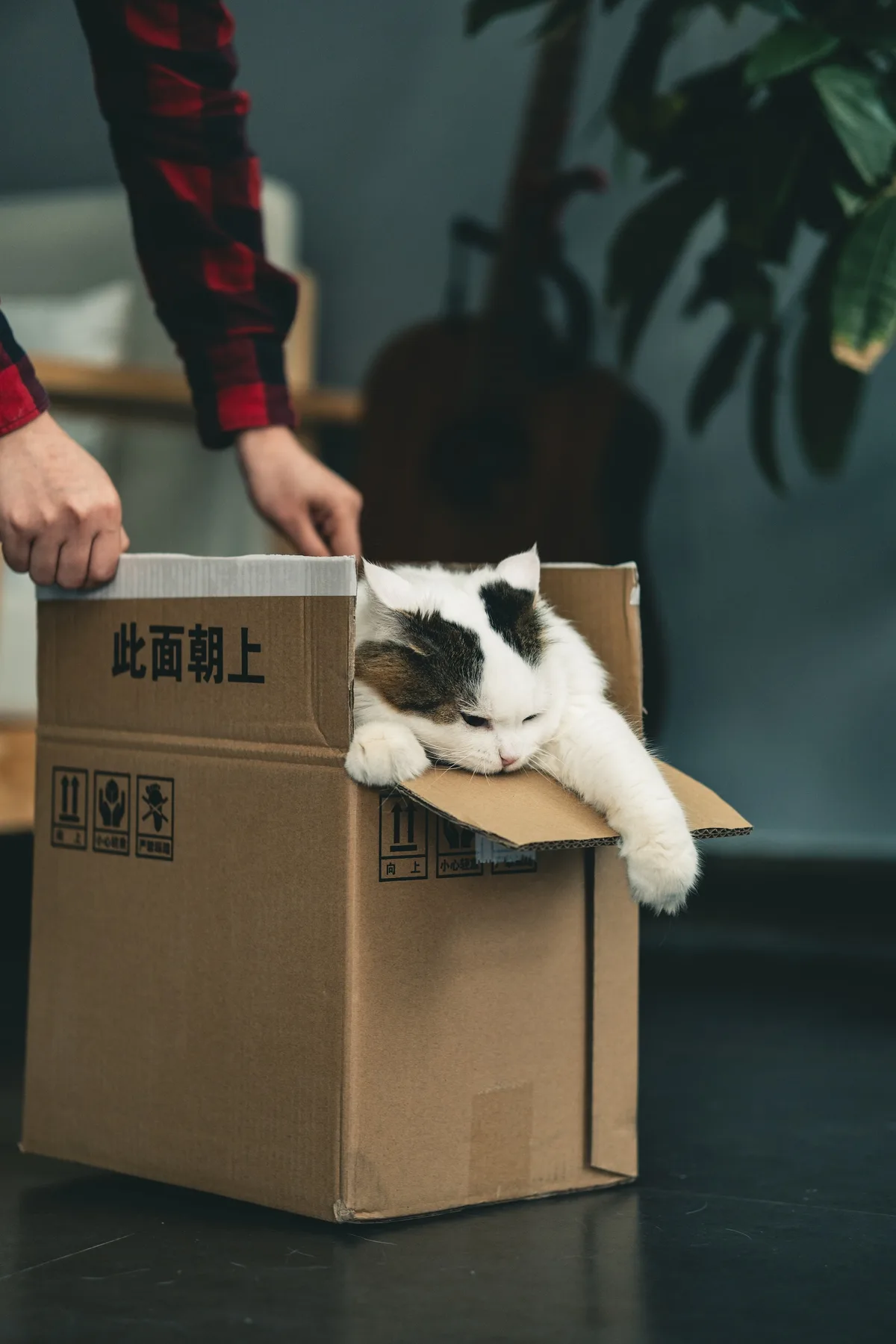 Need Boxes For Moving Try These Creative Ways To Pack Your Things Safely