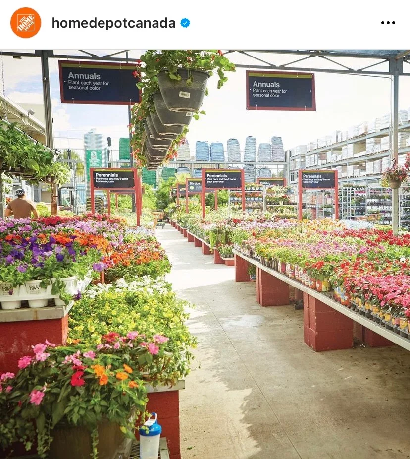 Buy plants in Montreal at Home Depot