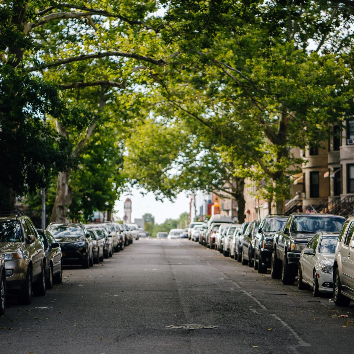 What To Do Before Our Mates Arrive